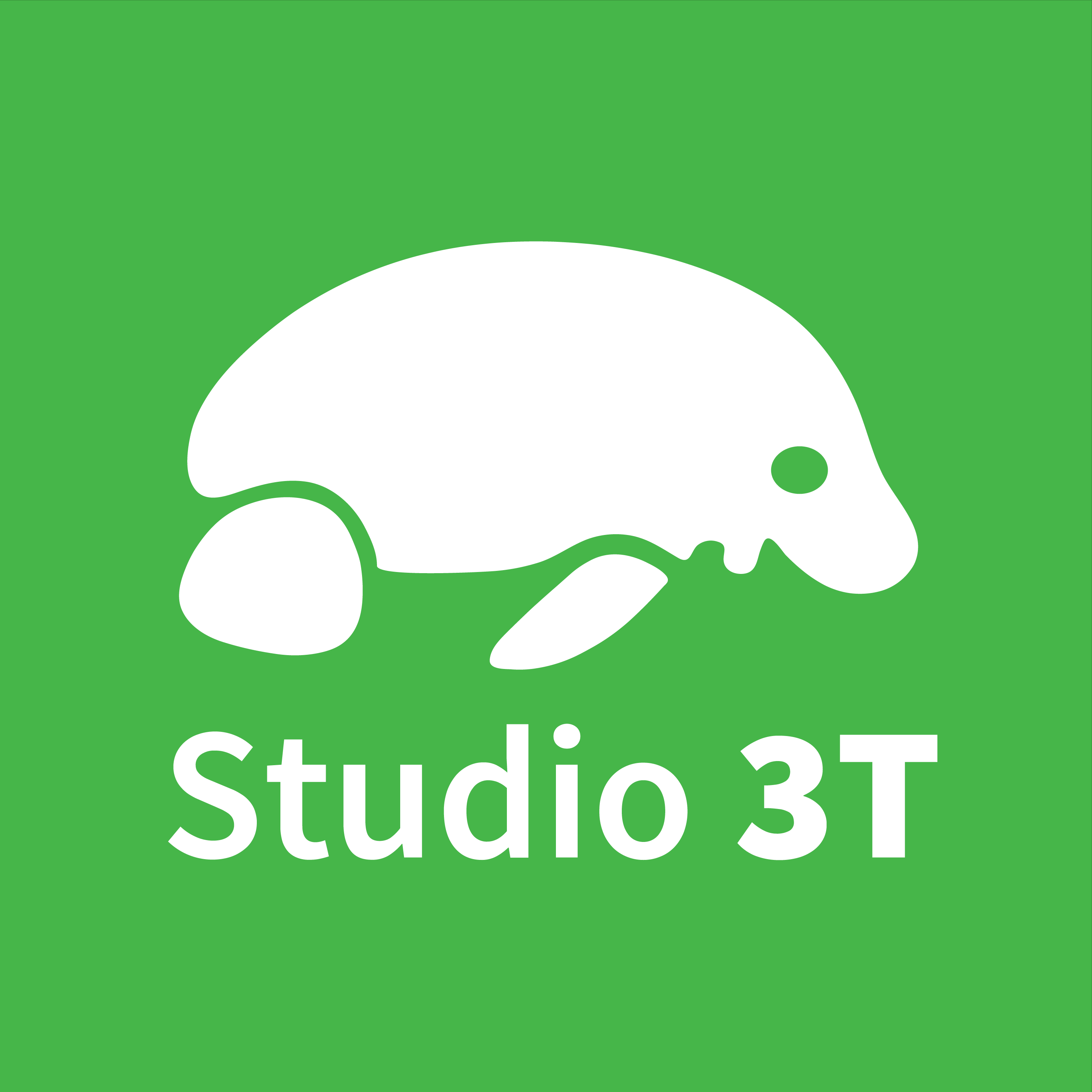 Powered by Studio 3T